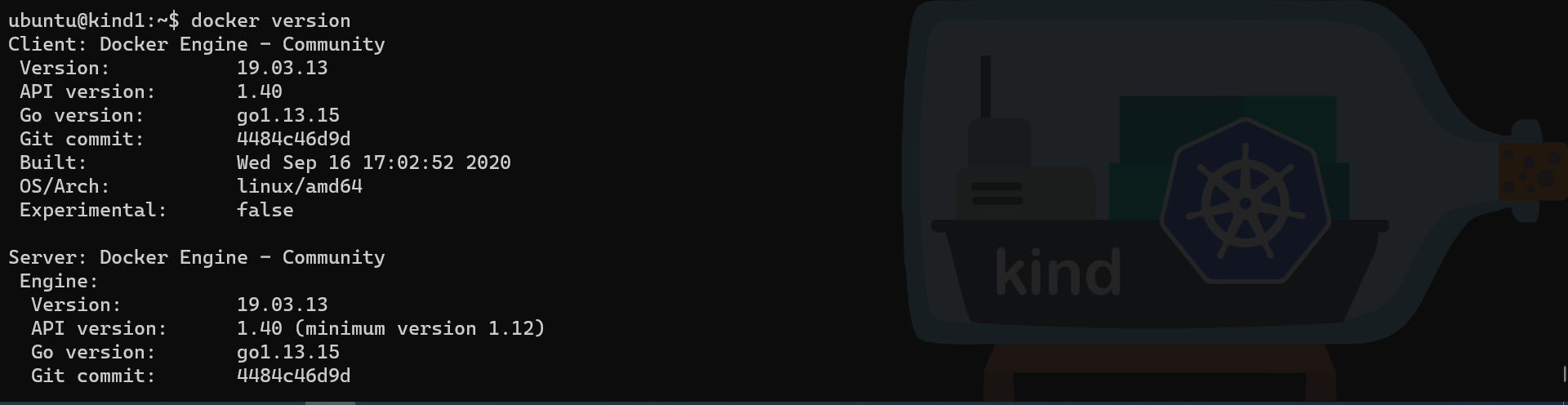 Multipass Docker status