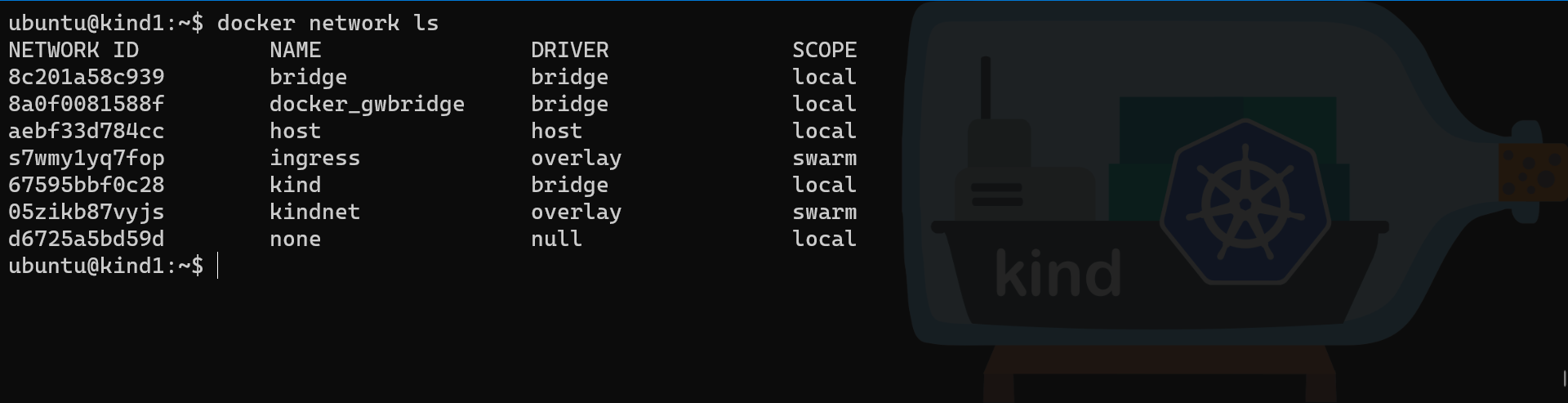 image-20201115212419227