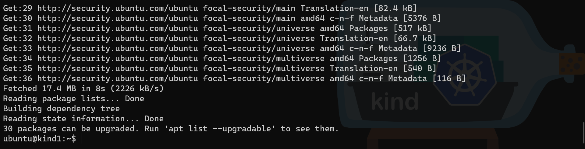 Multipass guest OS update part 2