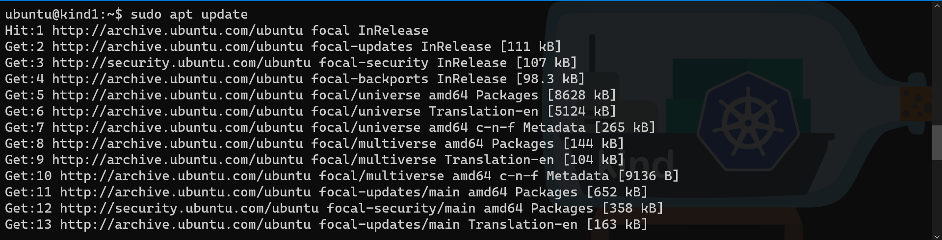 Multipass guest OS update