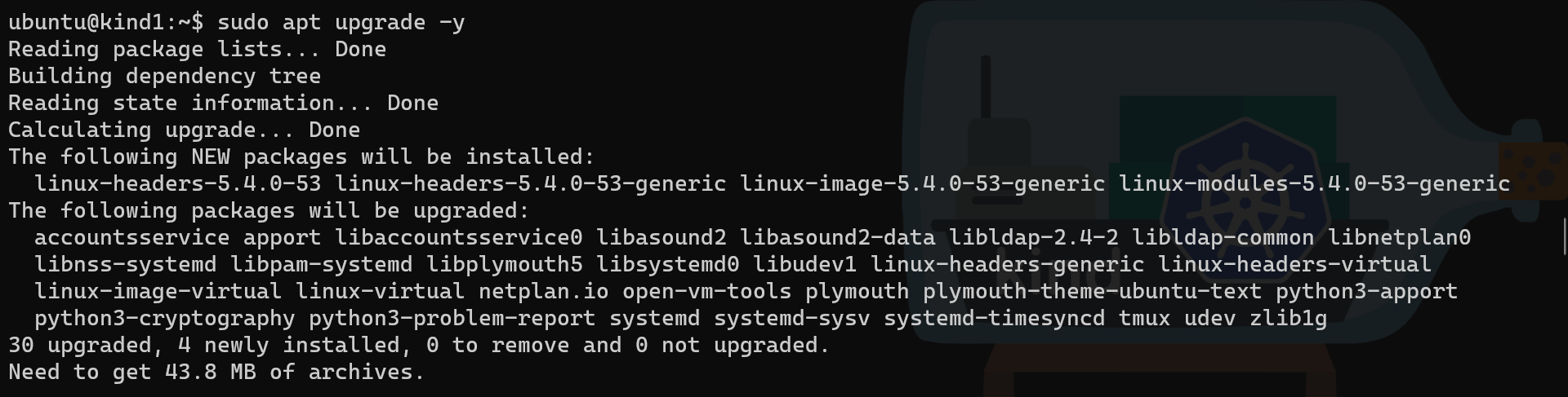 Multipass guest OS upgrade