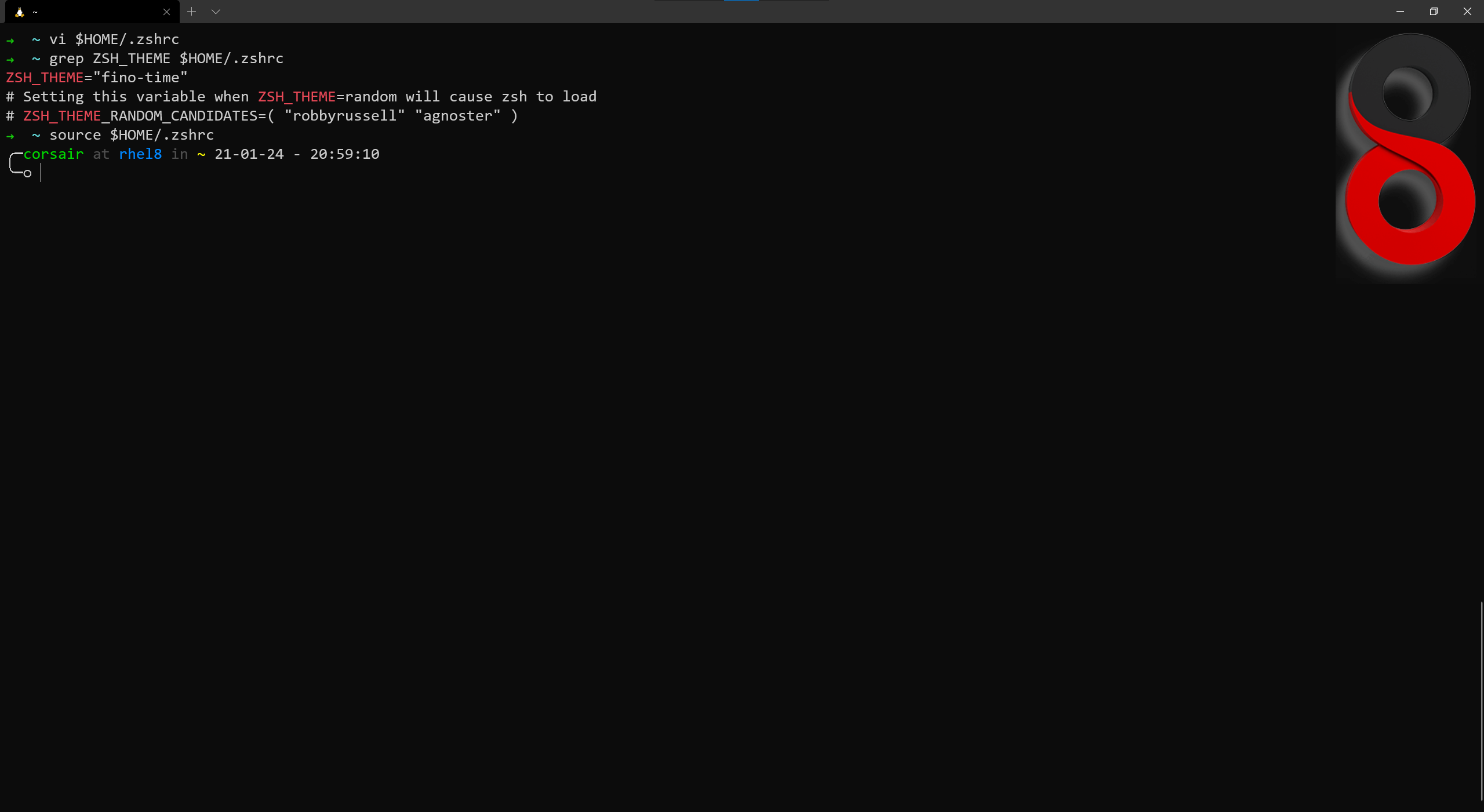 Change oh my zsh theme