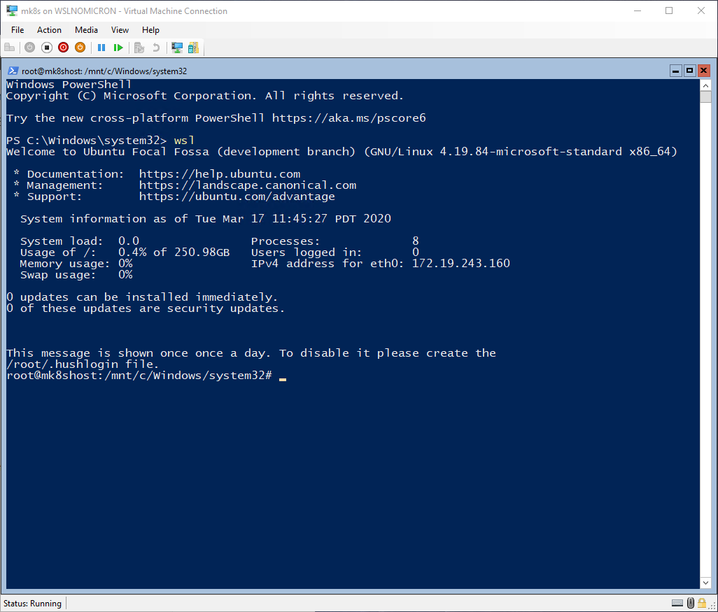 image-20200317194818059