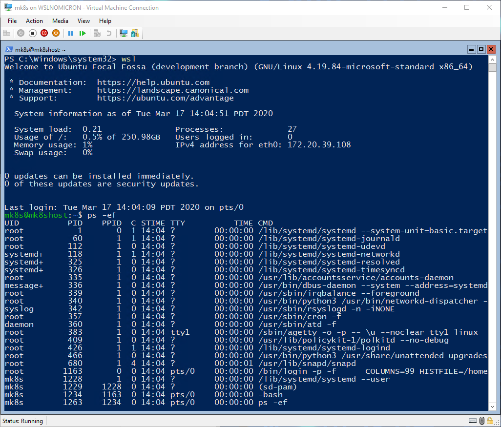 image-20200317222037540