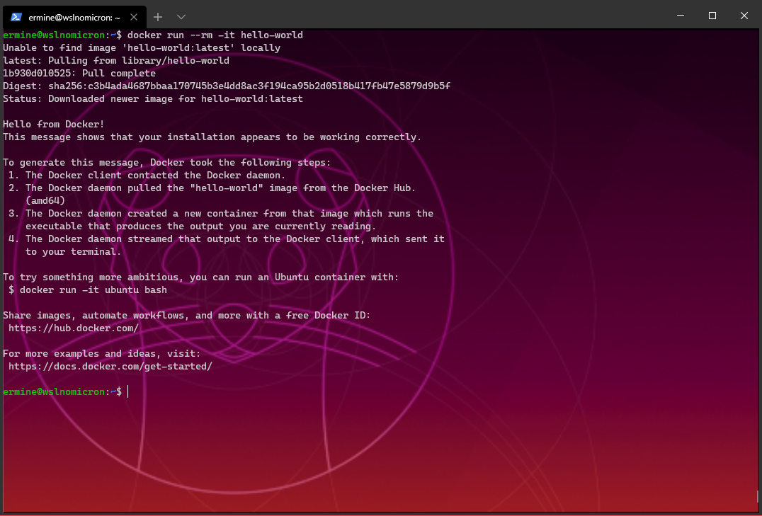Running the first container