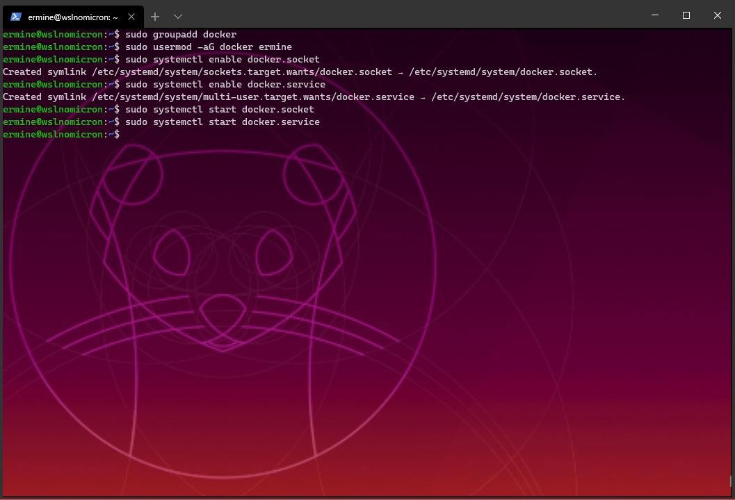 Starting the Docker SystemD services