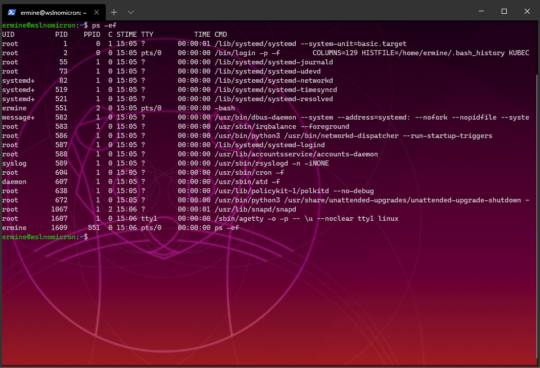 Displaying the SystemD processes