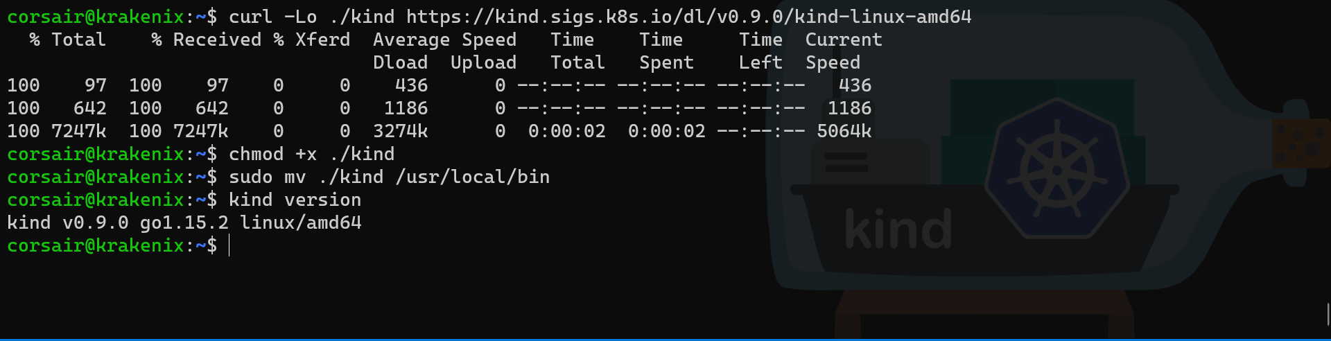 WSL2 KinD install