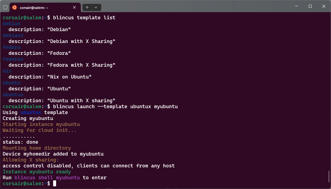 Launch Blincus first instance