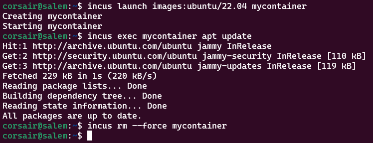 Launch the first Incus container