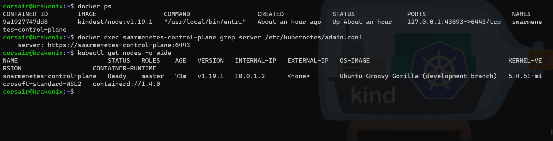 Docker KinD get DNS name and IP