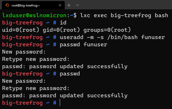 image-20200329203907617