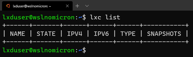 image-20200329175157122