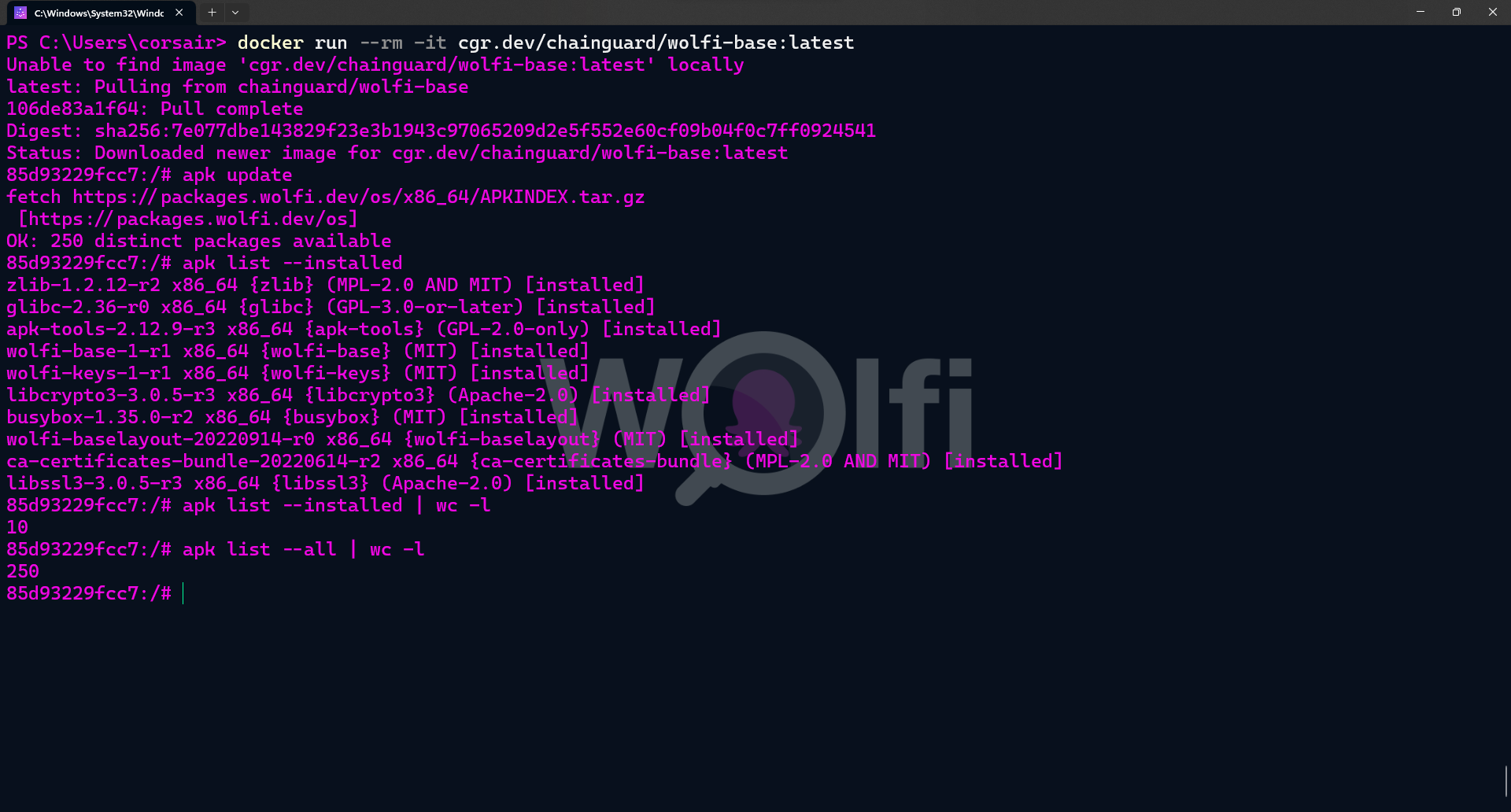 Test WolfiOS in a container