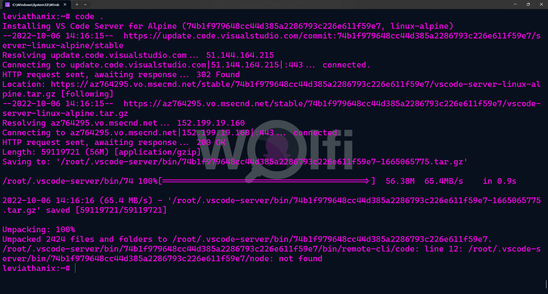 VS Code launch fails