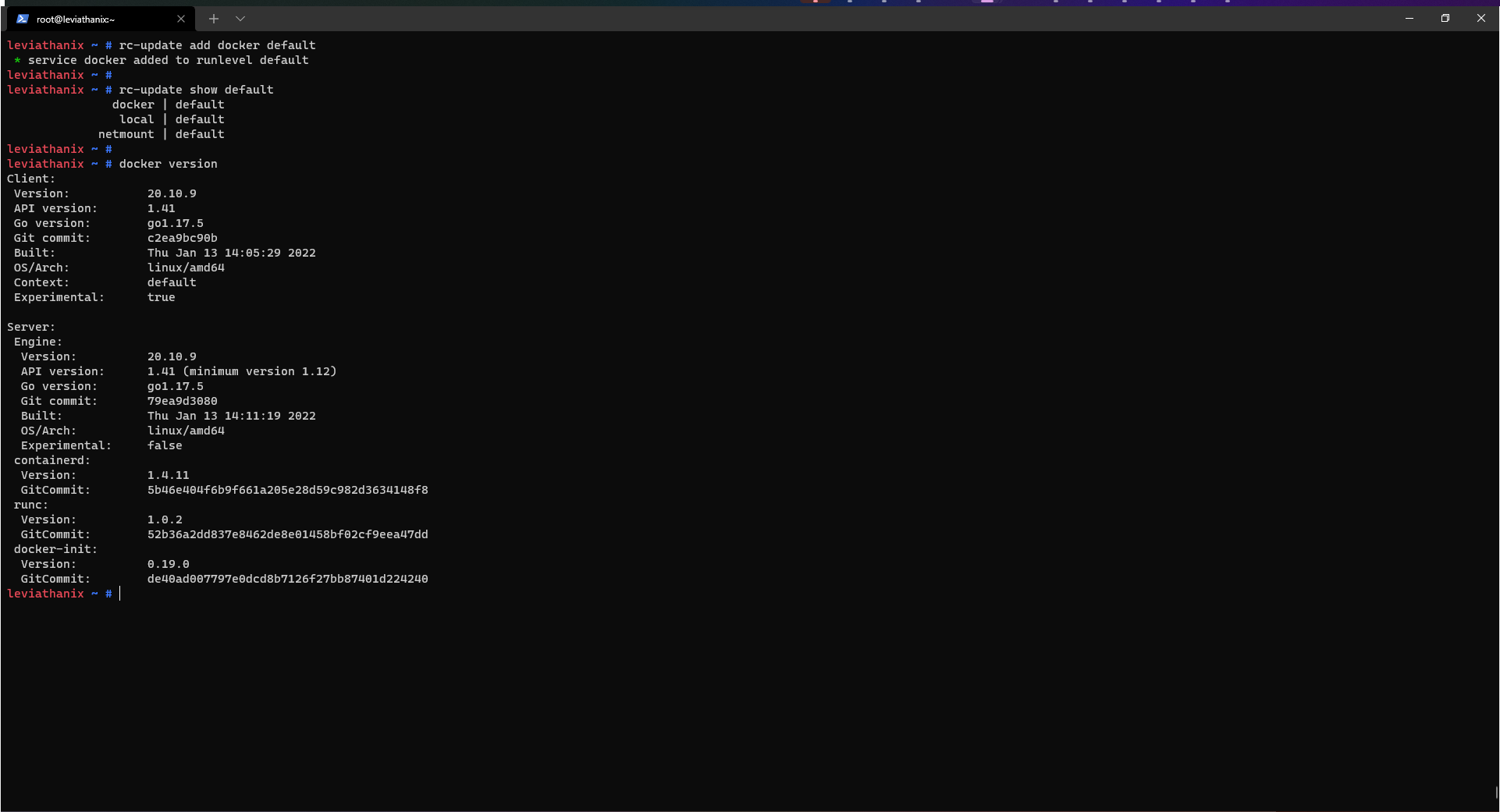 Install Docker service